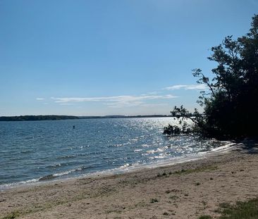 Frau sucht Wohnung in HH-West - Photo 1