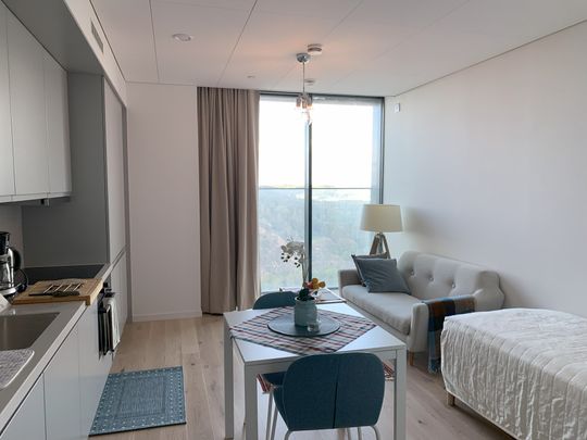 Lodjursstråket, Göteborg - Foto 1