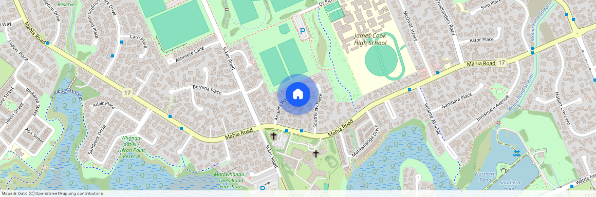 19 Anglers Way, Wattle Downs, Manukau City