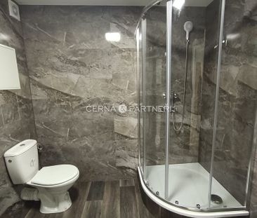 Pronájem bytu 3+1 53 m² - Photo 4