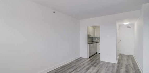 1 CH - 1 SDB - Montréal - $1,300 /mo - Photo 2