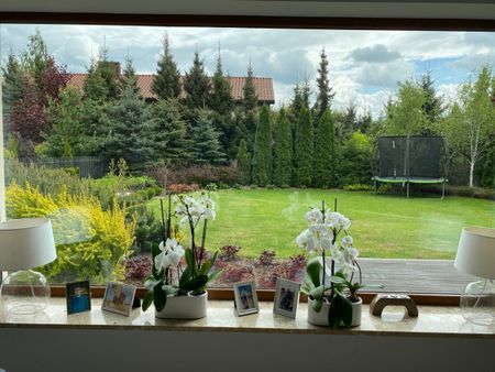 Piękny ogród, cisza i blisko do Centrum - Zdjęcie 4