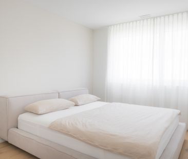 Exklusive möblierte Haushälfte mit Garten in Luzern - Photo 6