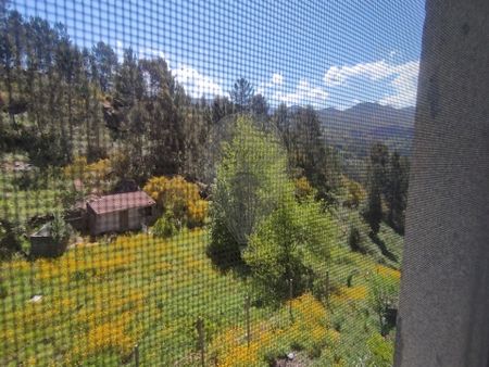 Moradia T4 - Photo 5