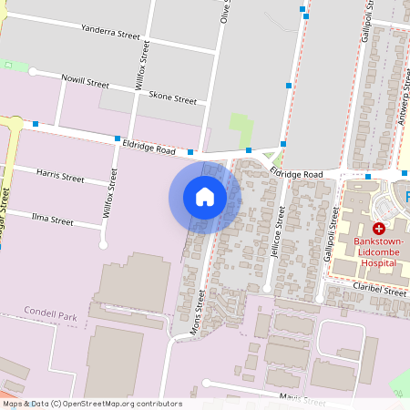 7 Mons Street, Condell Park NSW 2200