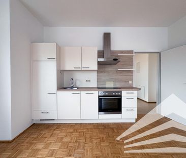 AM WINTERHAFEN: Helle 2 Zimmerwohnung mit Küche und Donaublick! - Foto 3