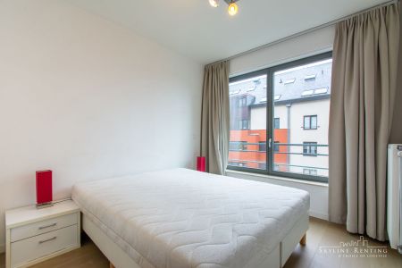 Mooi gemeubeld app - 3 Kamers + Terras! (NAVO area) - Photo 3