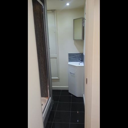 Studio Flat, Ash Grove, NW2 - Photo 4