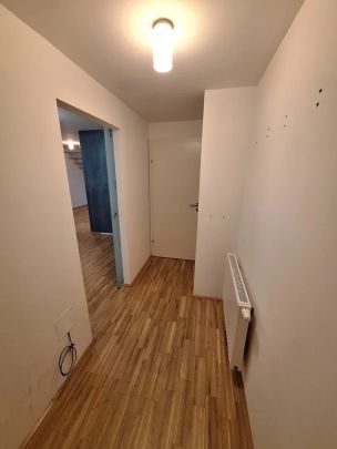 Super nice "Loft"- Wohnung am Erlachpark mit Terrasse Mitten im "Supergrätzl" - Photo 1