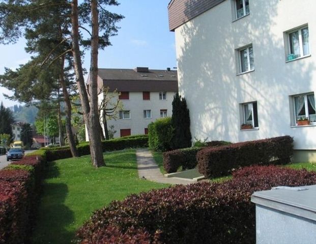 RENT WITHOUT DEPOSIT - Great apartment in Frenkendorf - Foto 1