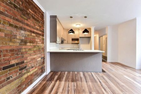 3712 - 3722 Rue St-Denis, app.302, H2X 3L7, H2X 3L7, Montréal - Photo 2