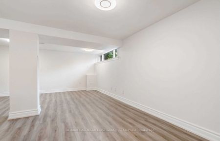 For Lease - 50 Walter Avenue Unit# (Basement), Newmarket, Ontario - Photo 3