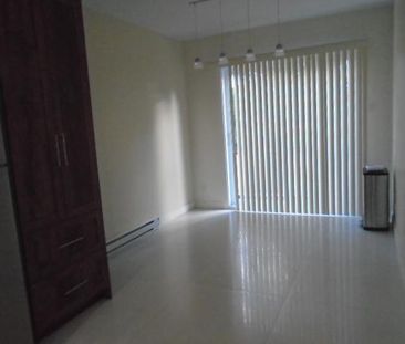 5 ½ rue Papineau 5 électros Inclus Montréal LIBRE - Photo 3