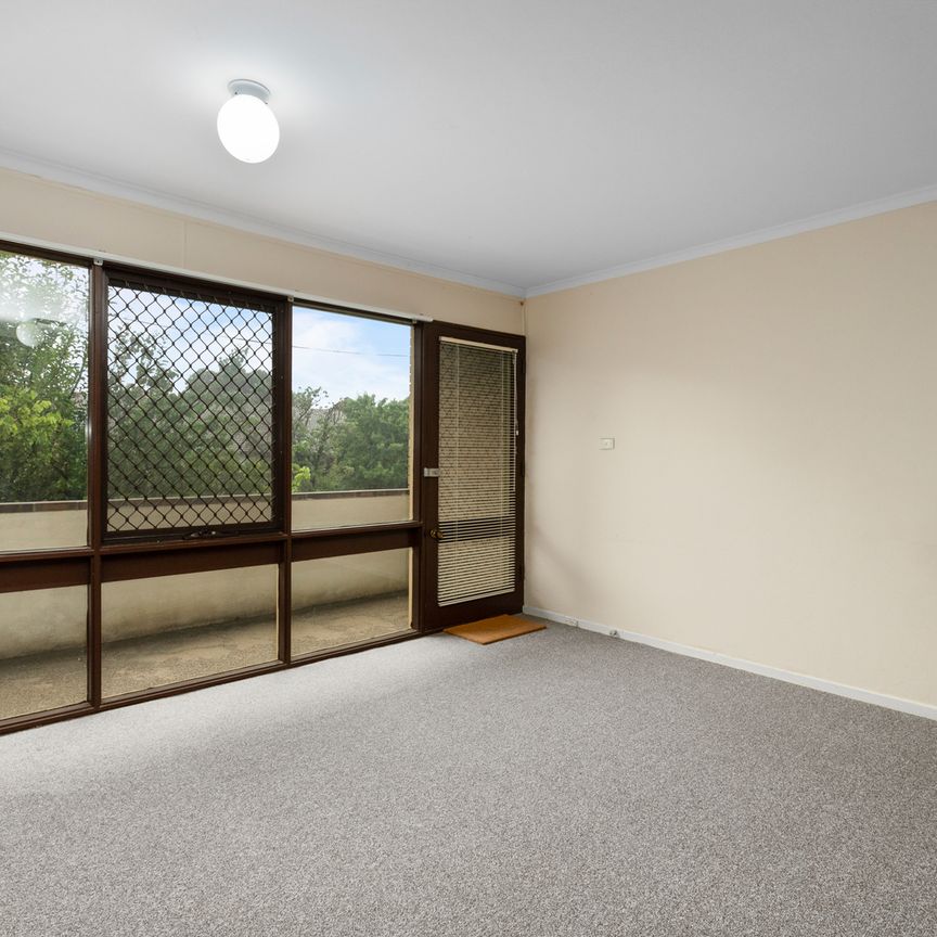 Close to EVERYTHING - Photo 1