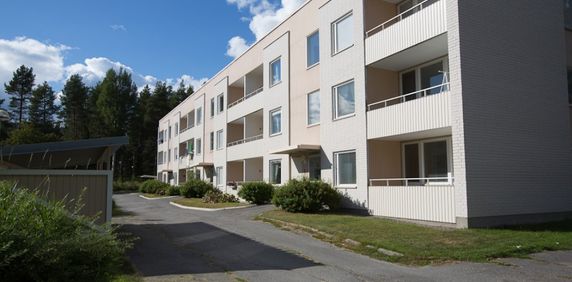 Dirigentvägen, Skellefteå - Photo 2