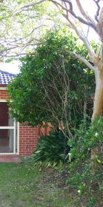 19A Gorman Street, - Photo 3