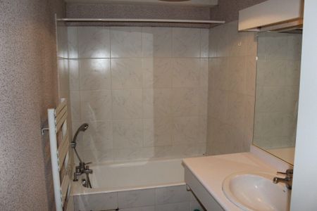 Location Appartement 1 pièce 29m² GRENOBLE 38000 - Photo 5