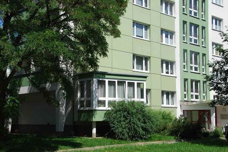 Lichterfüllte 2-Raum-Wohnung mit Balkon - Foto 3