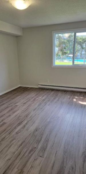 1 CH - 1 SDB - Gatineau - $1,445 /mo - Photo 1