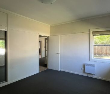 Huge yard great for family fun - Photo 2