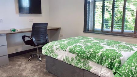 1 bedroom in a flat share to rent - Photo 4