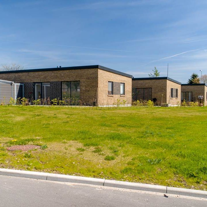 Mølhøjvej - Photo 1