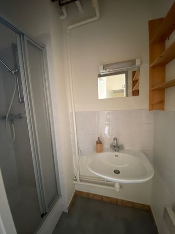 Location Appartement 1 pièce 19m² - Photo 4