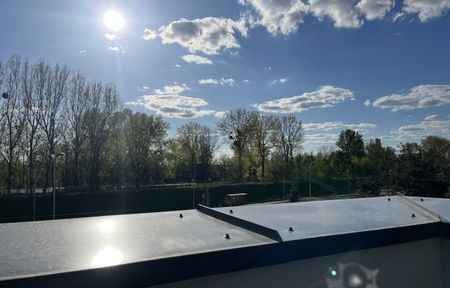 Warszawa, Wawer, Las, wał miedzeszysńki - Photo 2