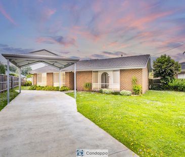 COSY 3 BEDROOM HOME IN GREAT LOCATION!!! - Photo 6