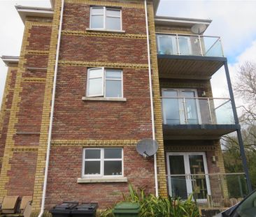 45 Glenburn Manor, Dunmurry, BT17 9DX - Photo 2