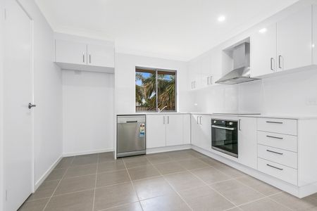 55b Coleman Crescent, Springwood QLD 4127 - House For Rent | Domain - Photo 5