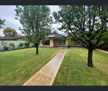 6/6 Clifton Street, Hawthorn, SA 5062 - Photo 3