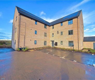 Verde Avenue, Bedford - Photo 6