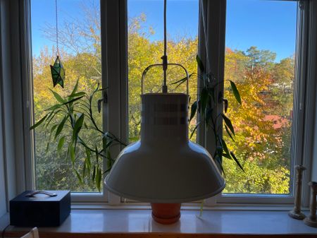 Ängsviksvägen, Värmdö - Photo 4