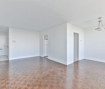 1 Bedroom Large - Photo 1