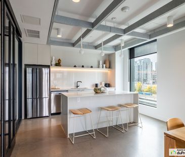 997 rue de la Commune - Studio - HALECO, Griffintown à louer - Photo 6
