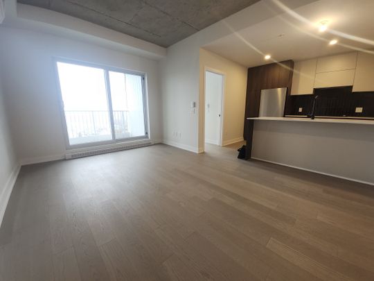 5605 Avenue Pierre-De Coubertin, #1113 - Photo 1