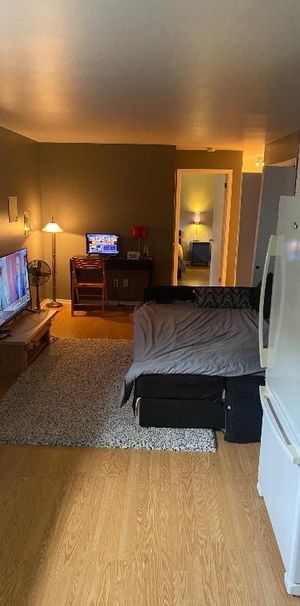 Logement 3 et demi batchelor - Photo 1