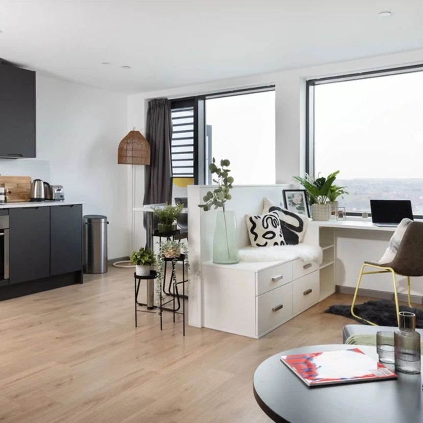 Extra Large High Double Studio - Photo 1