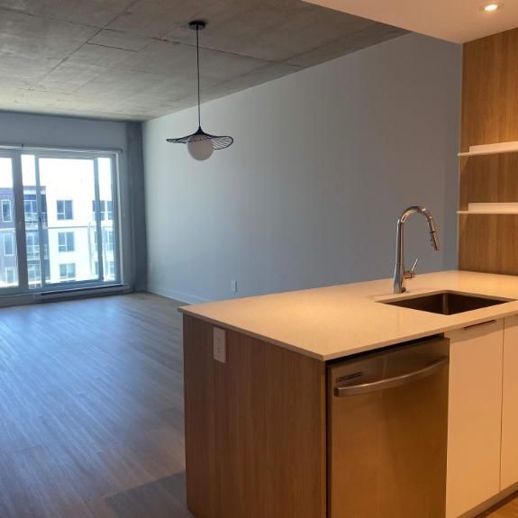 1 CH - 1 SDB - Montreal - $1,610 /mo - Photo 1
