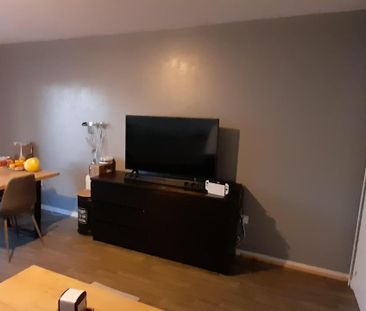 Location Appartement 2 pièces 47m² MAZINGARBE 62670 - Photo 1