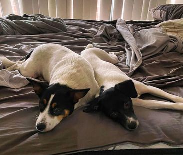 Woodville West - Photo 4