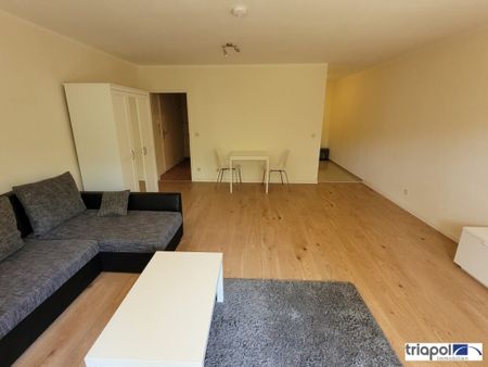 Großzügige 1-Zi-Wohnung mit Terrasse in Dresden-Weißig. - Foto 3