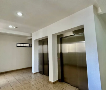 DEPARTAMENTO EN RENTA EN COLINAS DE CHAPULTEPEC - Photo 1