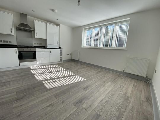 1 bedroom apartment to rent - Photo 1