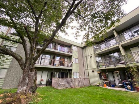 Cedartree Village - Photo 4