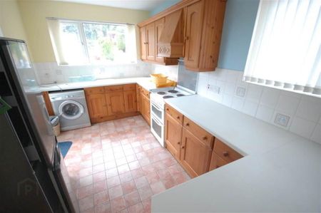 17 Springhill Avenue, Bangor, BT20 3NT - Photo 5