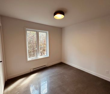 Appartement - 519 Rue St-Henri - Photo 2