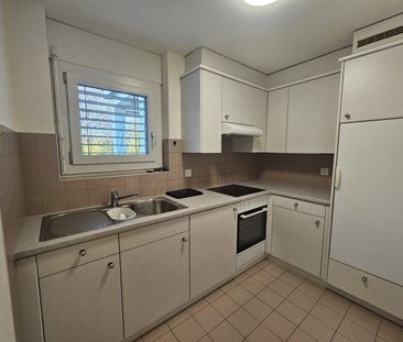 2.5 Zimmer, EG - Photo 5