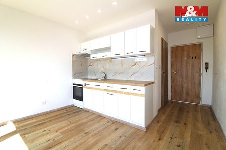 Pronájem bytu 1+1 s lodžií, 41 m - Photo 3